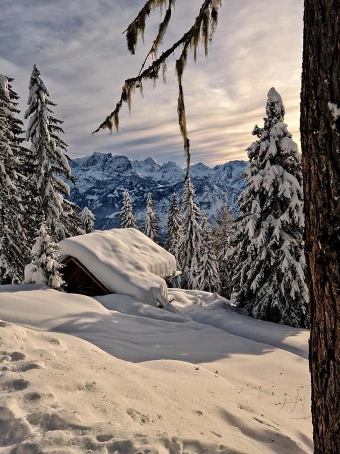 Pension Ostbach Leutasch Buitenkant foto